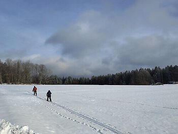 Fatimaloipe Klingenbrunn